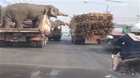 （圖／翻攝自bilibili）