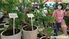 建國花市(記者陳弋攝影)