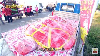 慶元宵乞龜王！家家戶戶恭請龍龜求平安