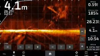 電撈魚球新武器　聲納水下探測撈萬隻魚虎