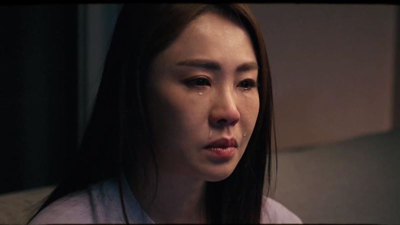 李婉鈺競選形象影片曝光　回顧黑歷史淚崩
