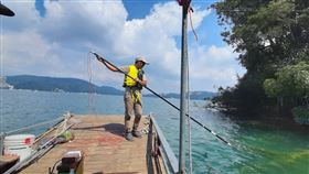 虎魚，魚球，聲納探測┬電撈，日月潭(圖／翻攝畫面)
