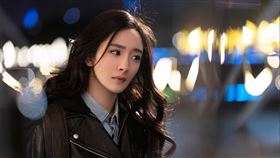 楊冪,白宇。（iQIYI提供