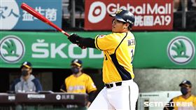 ▲台灣大賽第1戰，中信兄弟指定打擊陳子豪打回第1分。（圖／記者劉彥池攝影）