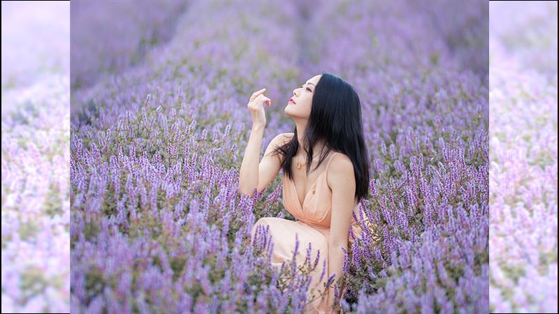 紫色浪漫花海席捲桃園！仙草花節夢幻登場