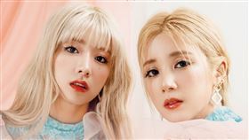 Apink小分隊CHOBOM！CHOBOM將來台會粉絲。（圖／D-SHOW提供）