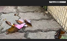 台中街友不滿好友借錢不還，酒瓶打死人。（圖／民眾提供）