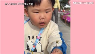 萌娃分享蒲公英　小跑後種子全吹沒網笑翻