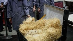 圖／鄭正鈐委員提供,故宮山洞庫房