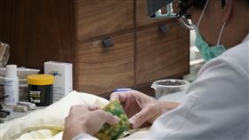  圖／鄭正鈐委員提供,故宮山洞庫房