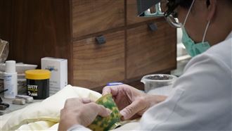 故宮開「山洞庫房」秀保存秘技　明年改招