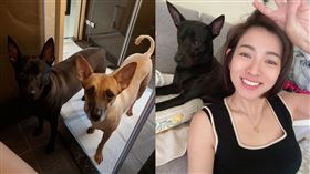 米可白。（圖／翻攝自米可白臉書）