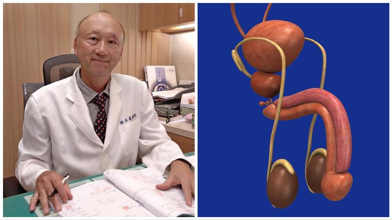 不孕症專家證實了　1習慣導致陰莖縮水