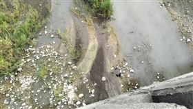 河床,男屍,死亡,高屏溪,林園區