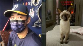 潘志芳與愛貓「北鼻」。（合成圖／記者蔡厚瑄攝影、翻攝自潘志芳IG）