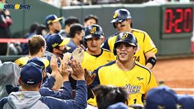 ▲中信兄弟陳子豪台灣大賽開轟。（圖／中信兄弟球團提供）