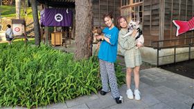 吳姍儒茵聲（tvbs提供）