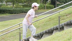 但看看身邊上了年紀的長輩若出現身高變矮、駝背、腰酸等，可能都是骨鬆的徵兆。