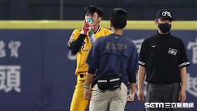 ▲台灣大賽第4戰，中信兄弟外野手林書逸上壘後疑似喘不過氣。（圖／記者劉彥池攝影）