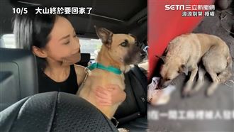 3腿浪浪險遭原放 正妹暖噴醫藥費收養