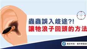 蟑螂跑進耳朵超驚悚！急診醫教「2妙招」趕出蟲子：用棉花棒挖恐傷耳膜（圖／翻攝自翁梓華臉書）