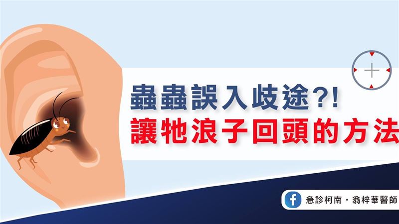 蟑螂跑進耳朵超驚悚！醫教2招趕蟲：別挖