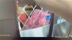 警破窗逮毒販！男「剛起床狀況外」秒落網