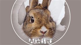 艾菲爾也提醒，2023年太歲是【皮時大將軍】。（圖／翻攝自塔羅牌老師艾菲爾）