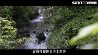 全球必去景點！紫東社區訪秘境、放天燈