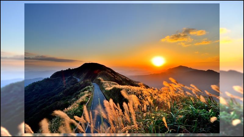 秋芒翻飛仙氣飄　九份山城浪漫行