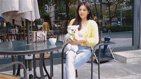 楊晨熙(翻攝臉書)
