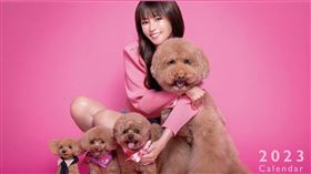 深田恭子新一度年曆中開心抱狗狗入鏡。（圖／翻攝自深田恭子 IG）