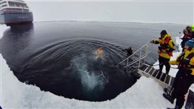 ▲站在世界之巔！正北極世界頂點90度遇見北極熊1人128萬　豪華破冰船夏古號內部曝光（圖／晴天旅遊提供）