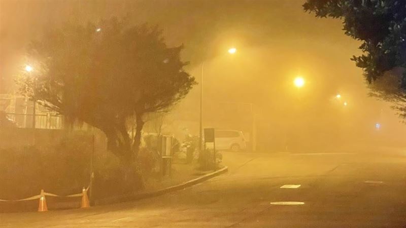 12縣市一片白茫茫　男星：感覺漫步雲端