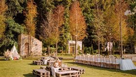 落羽松森林,青青食尚花園會館提供