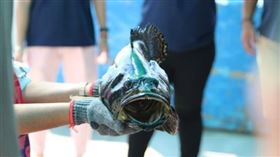 漁村,漁業,休閒漁業,踩線團,觀光