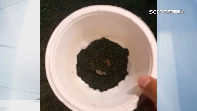 獨家／環保紙碗裝羊肉爐　碗底破掉險燙傷