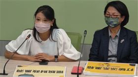 翻攝民進黨團臉書直播