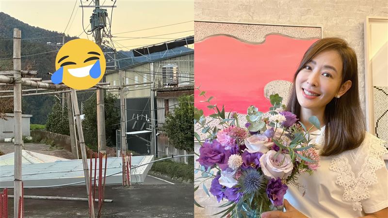 賈永婕追日出照片曝光傻眼　網笑：宿醉嗎