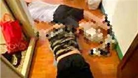 人蛇集團,台中,一條龍服務,社群,斬蛇行動（圖／翻攝畫面）