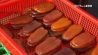 疫情緩需求大增！濕烏魚卵價格飆25年新高