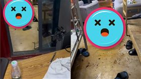 鱷魚,宿舍,養殖場,骨頭,室友