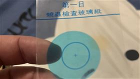 蟯蟲檢查（圖／翻攝自爆廢公社公開版）