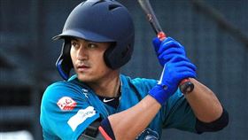 ▲林子偉出戰澳洲職棒。（圖／取自Auckland Tuatara官網）