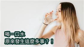 人的進食過程，其實相當精細且複雜