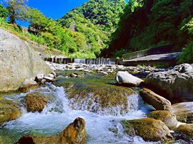 國家永續發展獎　肯定各方響應永續行動（業配勿用）