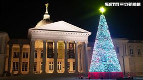 台南,奇美博物館,聖誕週末,幸福聖誕樹,演出,小提琴