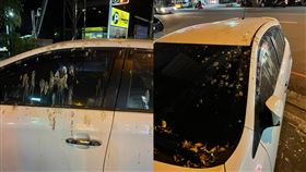 違停  鳥屎 （圖／翻攝自翻轉國道交通違規臉書）