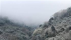 ▲南山國小因低溫出現結霜蔬菜。（圖／遊客提供）