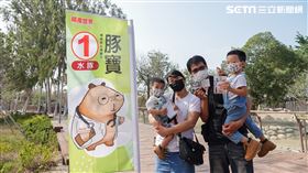 台南,大統領,頑皮世界,動物,投票,水豚,藪貓,長頸鹿